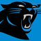NFL Carolina Panthers Large Logo Galaxy Buds Live Skin